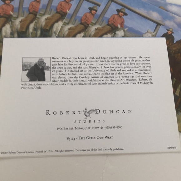 Bundle Blank  Note/Thank You/ Birthday Cowgirls Western Horses Cards - Picture 3 of 4